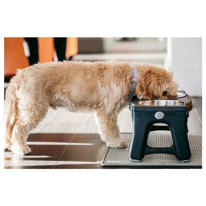Килимок під миски Dexas Pet Bowl Grippmat Large антиковзкий 60х43 см блакитний (0084297308841) зображення 3
