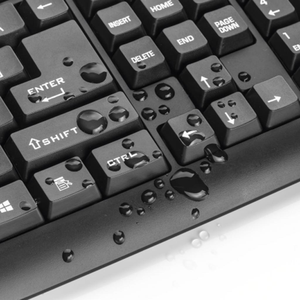 Клавиатура Trust ClassicLine Keyboard RU (20626) изображение 4