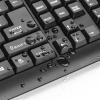 Клавіатура Trust ClassicLine Keyboard RU (20626) зображення 4