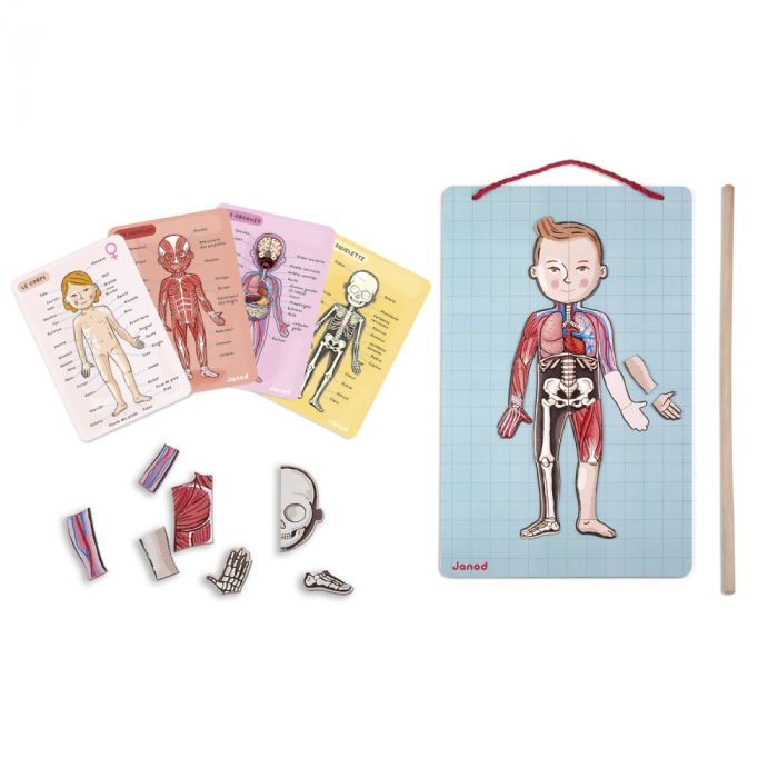 Игровой набор Janod Тело человека (J05491)