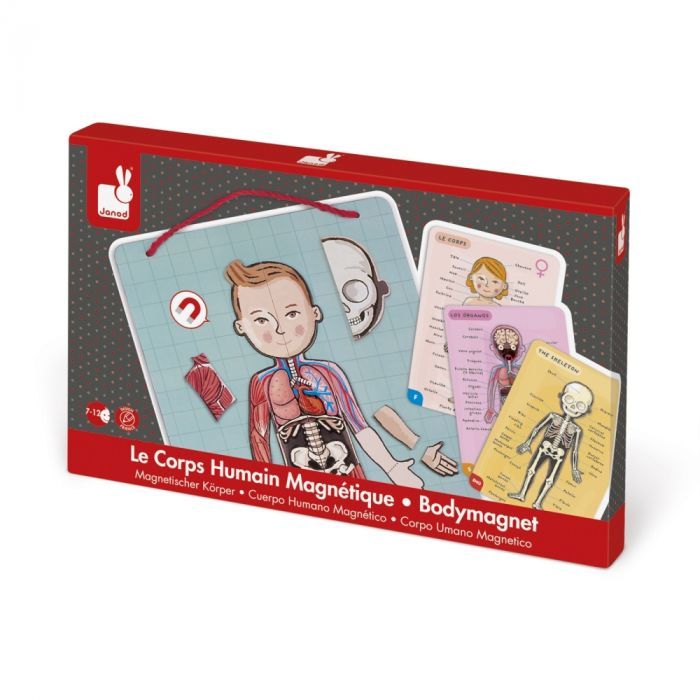 Игровой набор Janod Тело человека (J05491) изображение 4