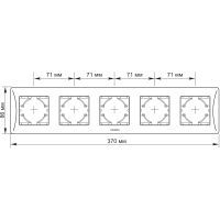 Рамка Videx BINERA срібний шовк 5 постів (VF-BNFR5H-SS) зображення 2