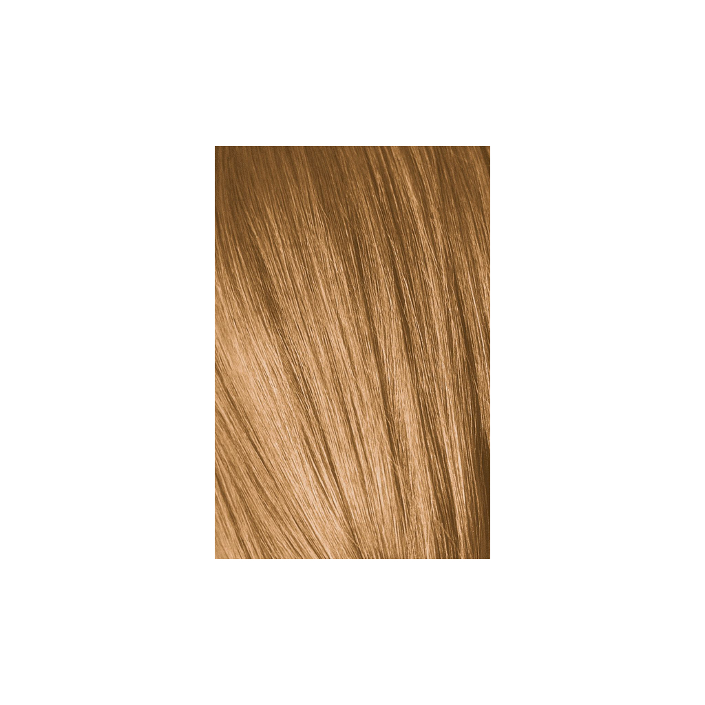 Краска для волос Schwarzkopf Professional Igora Royal Absolutes 9-60 Шоколадный натуральный 60 мл (4045787282610) изображение 2