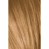 Фарба для волосся Schwarzkopf Professional Igora Royal Absolutes 9-60 Шоколадний натуральний 60 мл (4045787282610) зображення 2