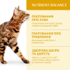 Сухий корм для кішок Optimeal зі смаком курки 200 г (4820215360180) зображення 3