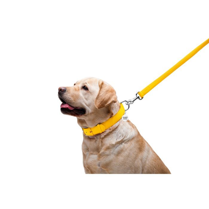 Повідець для собак WAUDOG Glamour шкіряний M-XXL червоний (33763) зображення 5