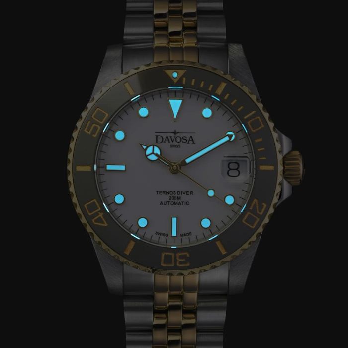 Наручний годинник Davosa 166.197.02 зображення 7