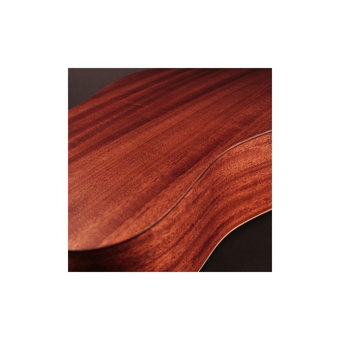 Гитара акустическая Cort Earth Bevel Cut Open Pore изображение 7
