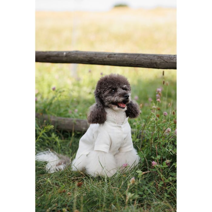 Футболка для тварин Pet Fashion Ostap XXS (4823082439294) зображення 11