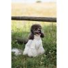 Футболка для тварин Pet Fashion Ostap XXS (4823082439294) зображення 11