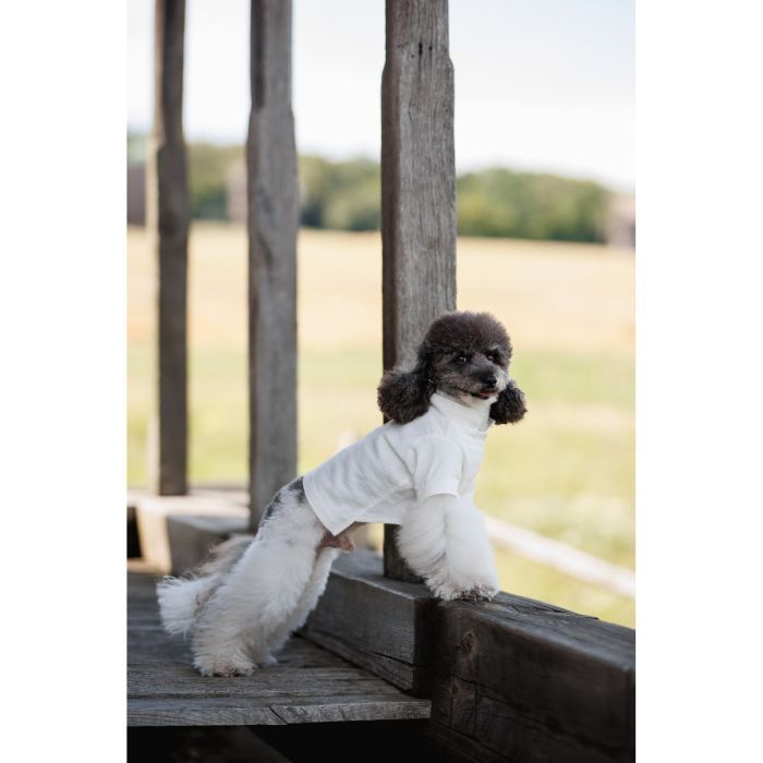 Футболка для тварин Pet Fashion Ostap XXS (4823082439294) зображення 12