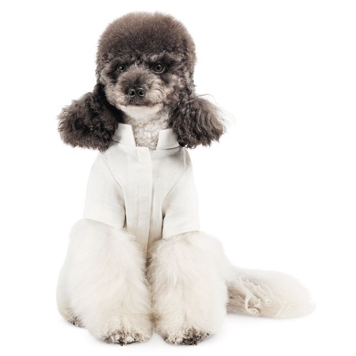 Футболка для тварин Pet Fashion Ostap XXS (4823082439294) зображення 6