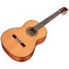 Гитара классическая Cordoba C9 CD изображение 2