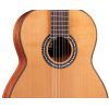 Гитара классическая Cordoba C9 CD изображение 4