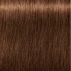 Фарба для волосся Indola Permanent Caring Color 6.38+ - Русявий золотистий шоколадний інтенсивний (4045787932546) зображення 2
