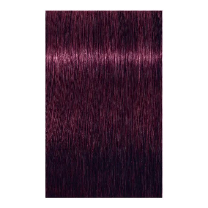 Краска для волос Schwarzkopf Professional Igora Royal 6-00 60 мл (4045787204766) изображение 2
