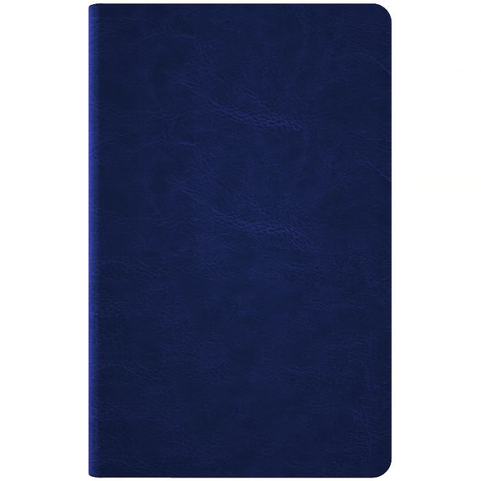 Еженедельник Axent датированный 2026 Partner City Soft 125х195, серый (8521-26-06-A) изображение 4