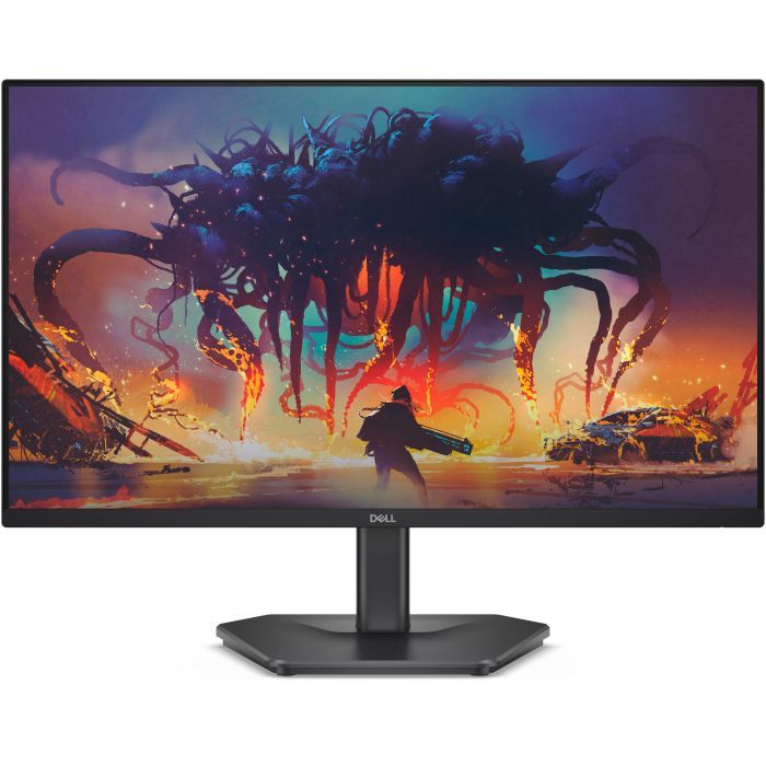 Монитор Dell SE2425HG (210-BSNR)