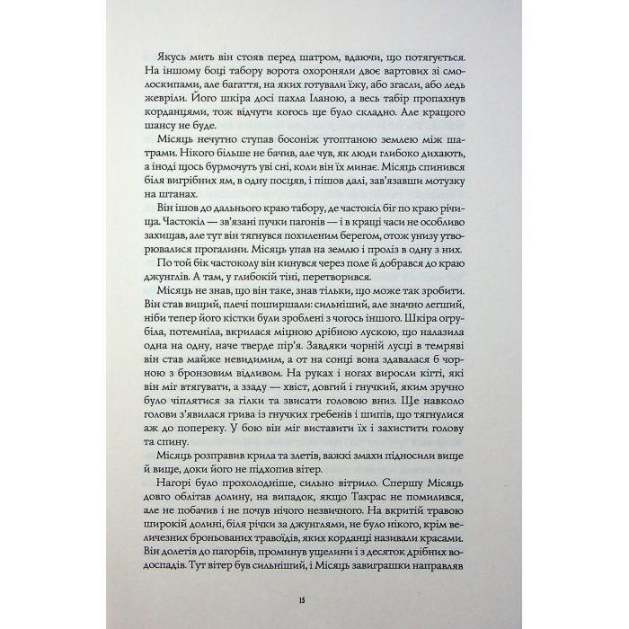 Книга Книги раксури. Хмарні шляхи. Книга 1 - Марта Веллс Жорж (9786178287870) изображение 12