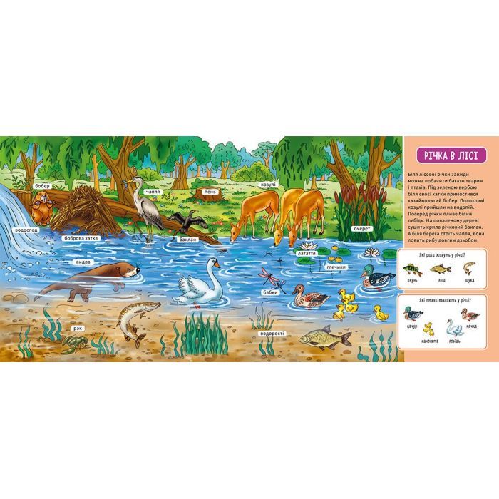 Книга У лісі. Мій перший словничок Ранок (9789667510749) изображение 3