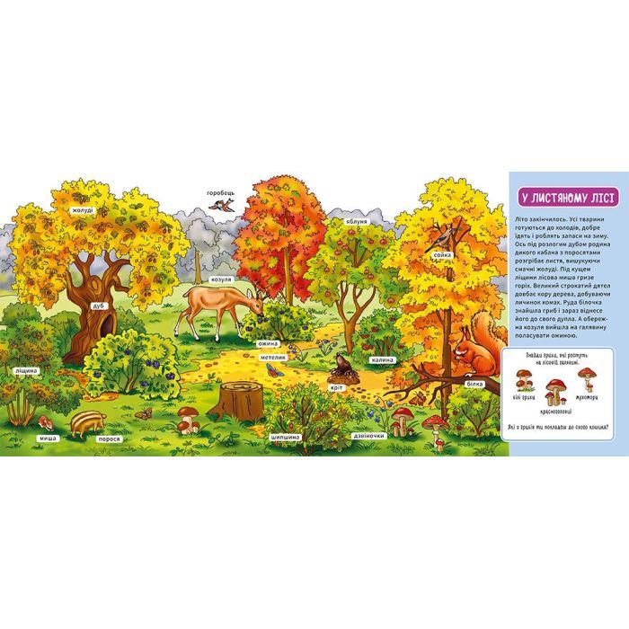 Книга У лісі. Мій перший словничок Ранок (9789667510749) изображение 4