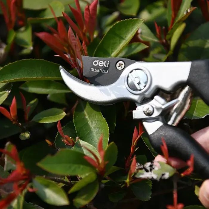 Секатор Deli садовий універсальний сталь 55С 8,5" 210 мм (DL580203) зображення 6