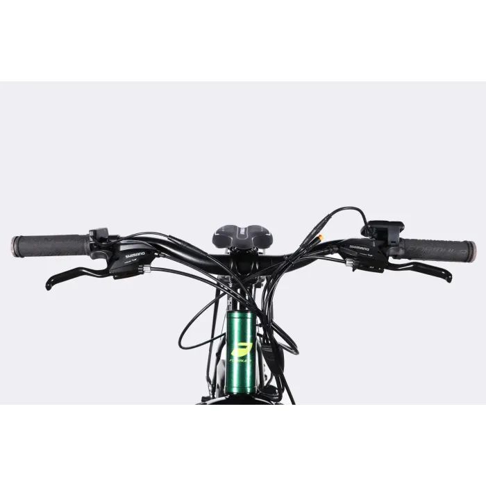 Електровелосипед Formula 29" eMOTION PLUS DD FR рама-19" 48B 15А*г 500Вт 2026 сіро-сріблястий (ELB-FR-29-261) зображення 6