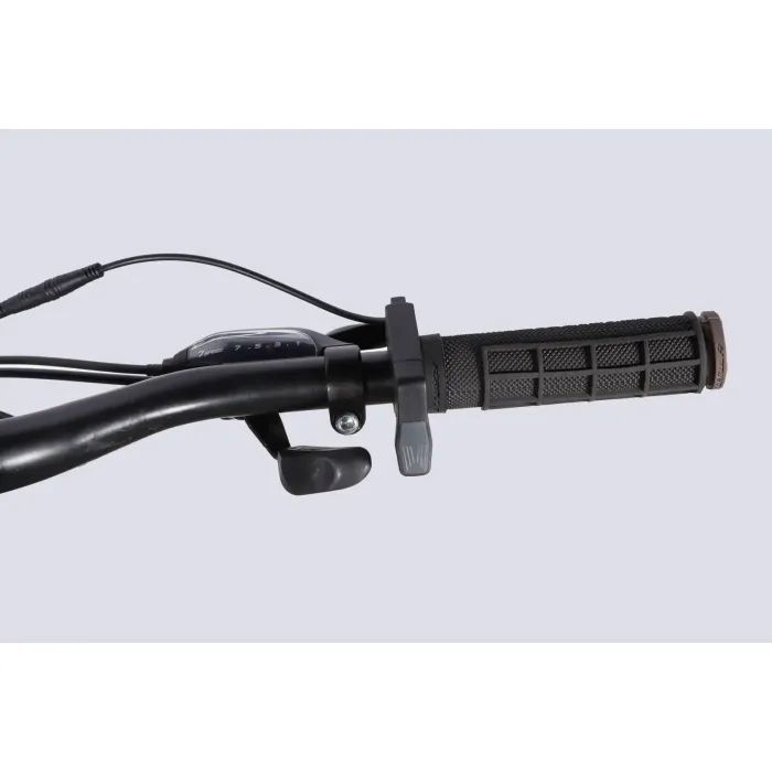 Електровелосипед Formula 29" eMOTION PLUS DD FR рама-19" 48B 15А*г 500Вт 2026 сіро-сріблястий (ELB-FR-29-261) зображення 8