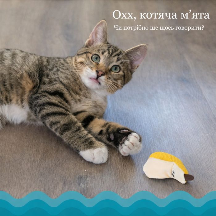 Игрушка для кошек Catstages Банан 12 см (0700603678353) изображение 9