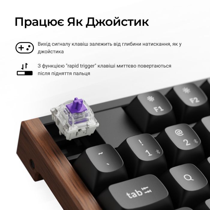 Клавіатура Keychron K10 HE Magnetic Switch RGB UA Black (K10H-F1-UA) зображення 11