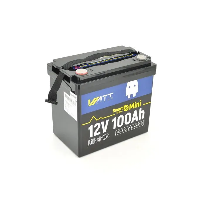 Батарея LiFePo4 WattCycle 12,8V 100Ah, 1,28kWh, Bluetooth (WT12V100AH100MINIBT)