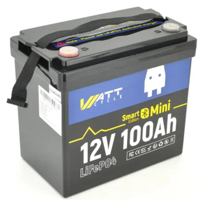 Батарея LiFePo4 WattCycle 12,8V 100Ah, 1,28kWh, Bluetooth (WT12V100AH100MINIBT)