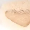 Сукня для тварин Pet Fashion Kathryn S (4823082447787) зображення 3