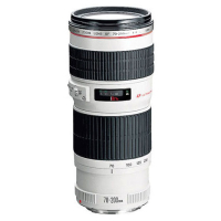 Объектив Canon EF 70-200mm f/4.0L USM (2578A009)