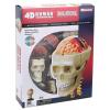 Пазл 4D Master Объемная анатомическая модель Черепно-мозговая коробка челов (FM-626005)
