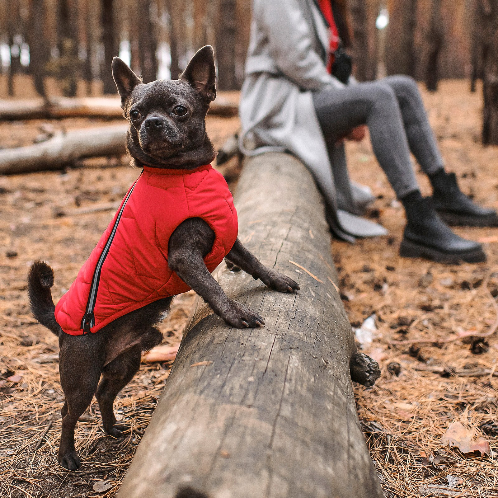 Жилет для животных Pet Fashion "E.Vest" XL красный (4823082424504) изображение 4