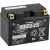 Аккумулятор автомобильный Yuasa 12V 11,6Ah High Performance MF VRLA Battery (YTZ12S)