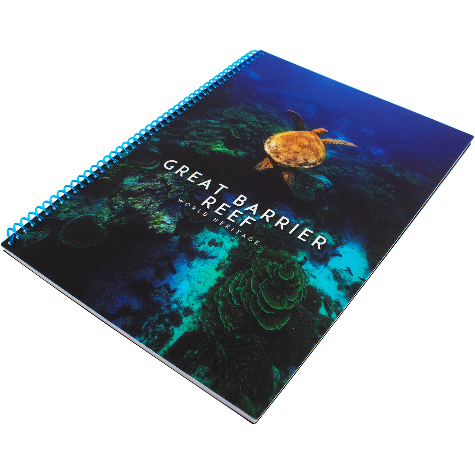 Блокнот Optima World: Reef А4 пластиковая обложка, спираль 80 листов, клетка (O20846-23) изображение 2