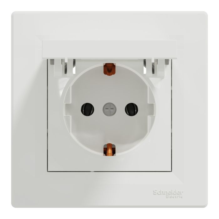 Розетка Schneider Electric ASFORA з кришкою, сталь (EPH3100162)