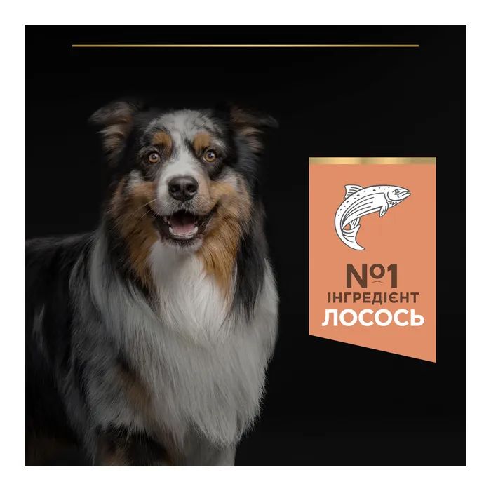 Сухой корм для собак Purina Pro Plan Dog Medium Adult Sensitive Skin с лососем и рисом 14 кг (7613035120464) изображение 6