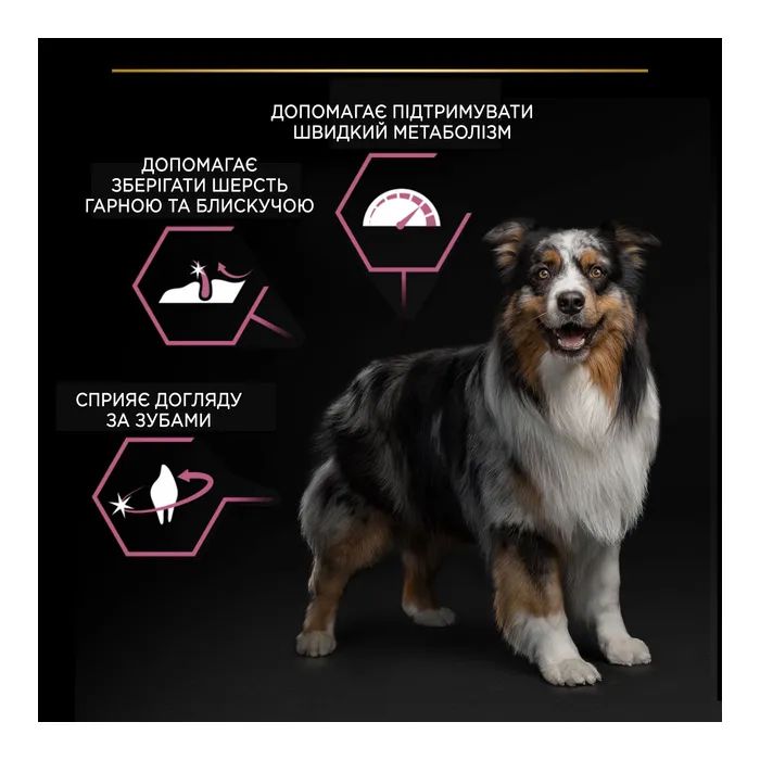 Сухой корм для собак Purina Pro Plan Dog Medium Adult Sensitive Skin с лососем и рисом 14 кг (7613035120464) изображение 7