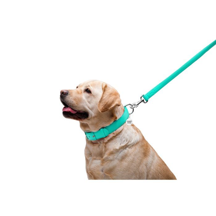 Повідець для собак WAUDOG Glamour шкіряний M-XXL червоний (33763) зображення 5