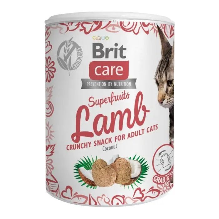 Лакомство для котов Brit Care Superfruits Lamb 100 г - ягнёнок (8595602555697)