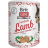 Ласощі для котів Brit Care Superfruits Lamb 100 г - ягня (8595602555697)
