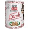 Лакомство для котов Brit Care Superfruits Lamb 100 г - ягнёнок (8595602555697)