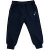 Штаны детские Joi спортивные (S-515-104B-blue)
