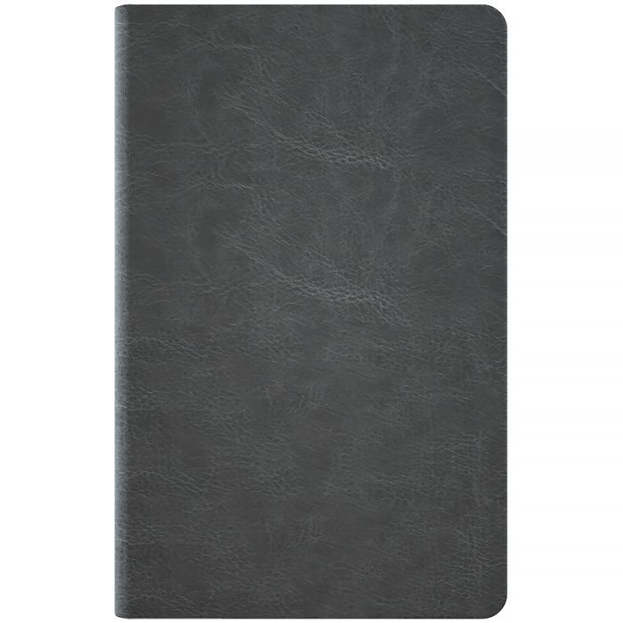 Еженедельник Axent датированный 2026 Partner City Soft 125х195, серый (8521-26-06-A) изображение 4