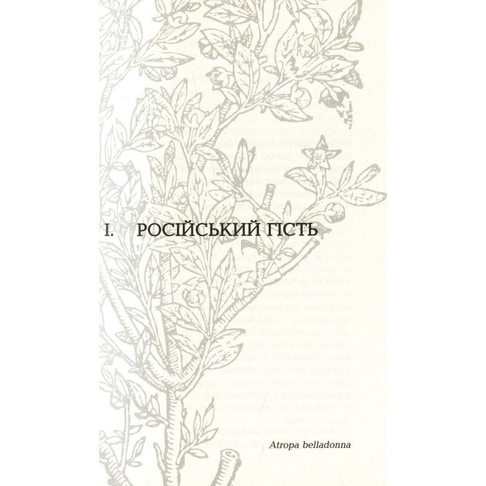 Книга Царська карлиця - Пітер Х. Фогтдаль Фабула (9786170933324) изображение 8