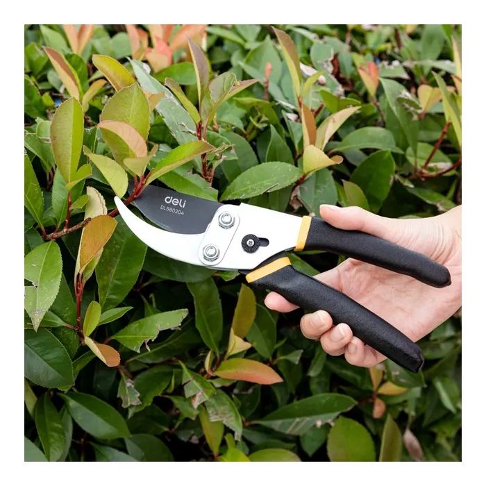 Секатор Deli садовий універсальний, тефлонове покриття лез 8" 200 мм (DL580204) зображення 2
