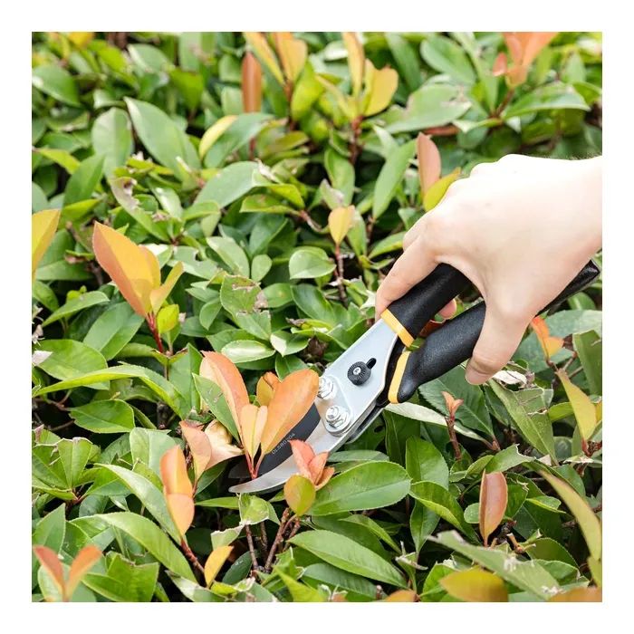 Секатор Deli садовий універсальний, тефлонове покриття лез 8" 200 мм (DL580204) зображення 3